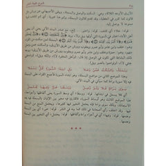 شرح طيبة النشر في القراءات العشر Sharah Tayibat Al-Nashr GULF HORIZONS