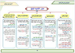 الملخص في البلاغة