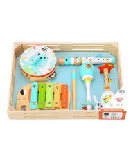 مجموعة آلات موسيقية