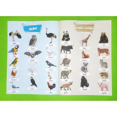 كلماتي الأولى لعبة تركيب الكلمات العربية 250 كلمة وصورة