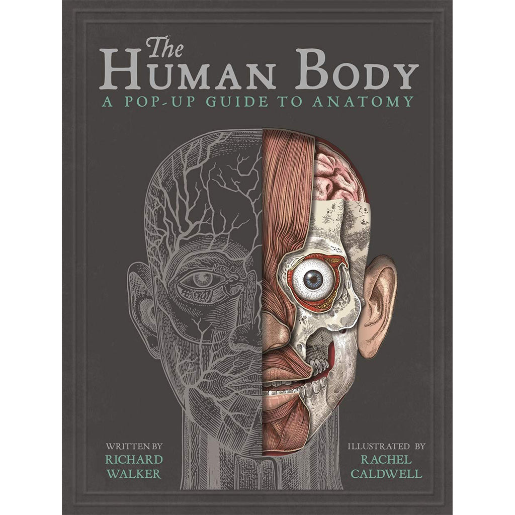 The Human Body