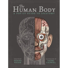 The Human Body