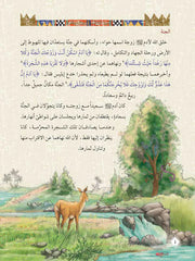 قصص الانبياء لليافعين - 10 أجزاء Mahroon