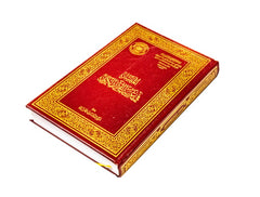 الميسر في غريب القرآن الكريم