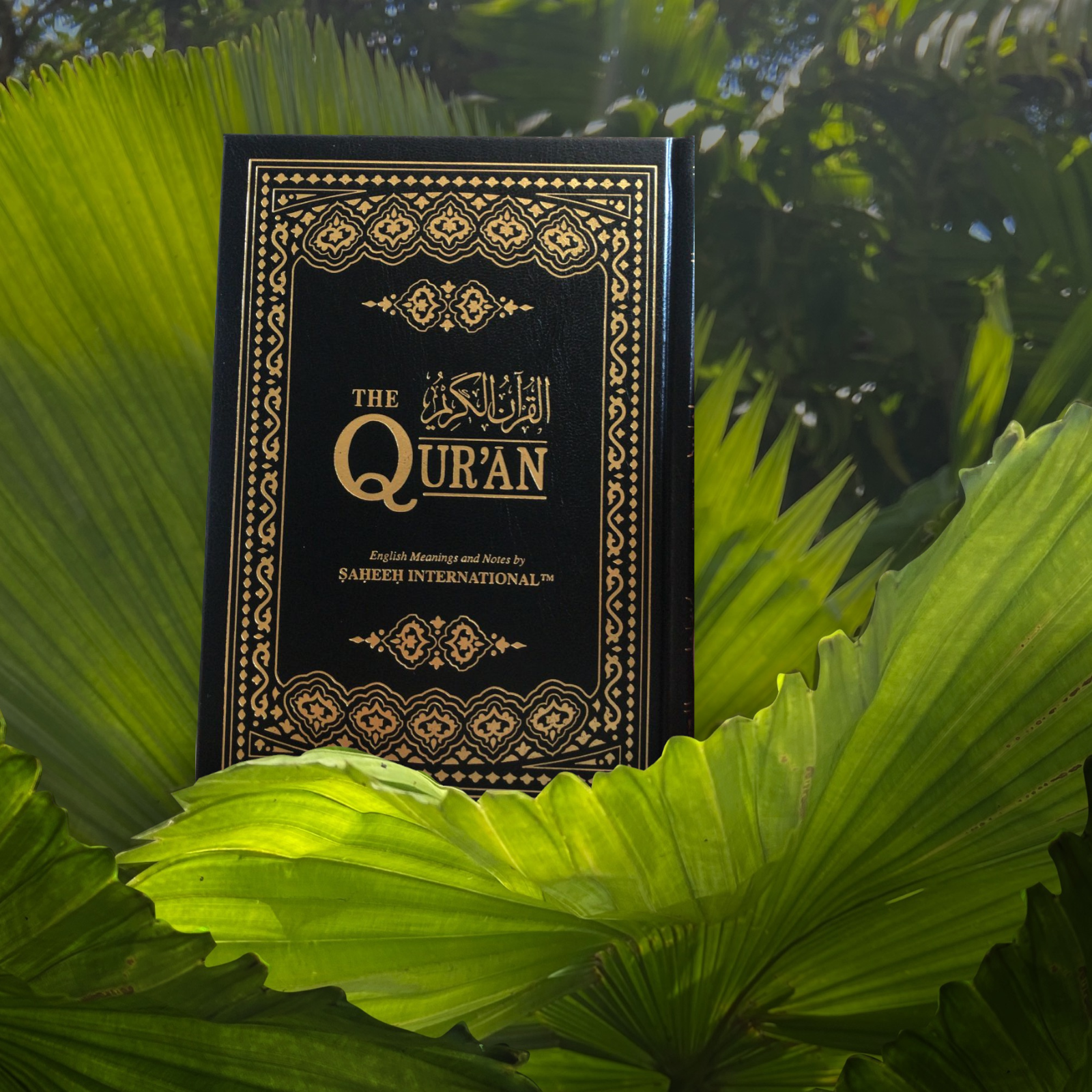 Quran 14 x 20 Interpretation of the meanings of the Quran in English Shamwa مصحف 14×20 تفسير معاني القران باللغة الانجليزية شاموا دار الرساله