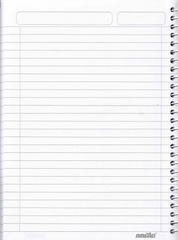 B5 2-Subject Notebook – 100 Sheets, 65 GSM, with Dividers & Class Schedule
