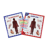 اكتشف جسم الانسان