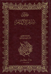 ديوان شعر الأيام
