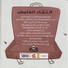 قصة اللقاء الغامض