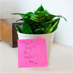 Kores Cube Spring Sticky Notes in 4 Neon Colors, 5 x 5 cm, 400 Sheets