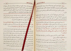 شرح اقتضاء الصراط المستقيم