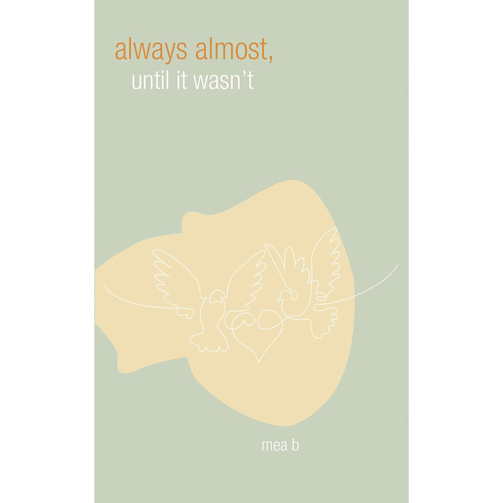 Always Almost, Until It Wasn’t Austin Macauley