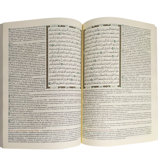 The Summary of Interpretation translated into the Filipino language, size 24*17 cm