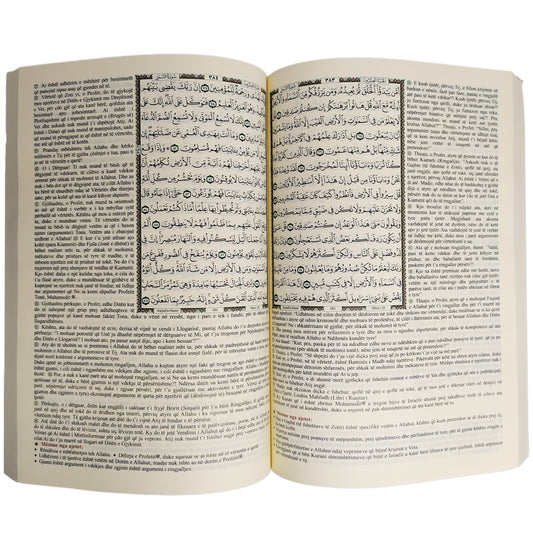 The Summary of Interpretation translated into Albanian, size 24*17 cm