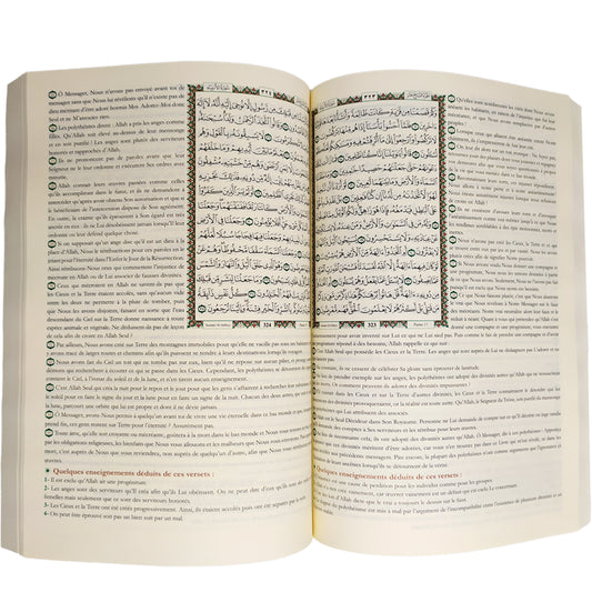 The Summary of Interpretation translated into French, size 24*17 cm
