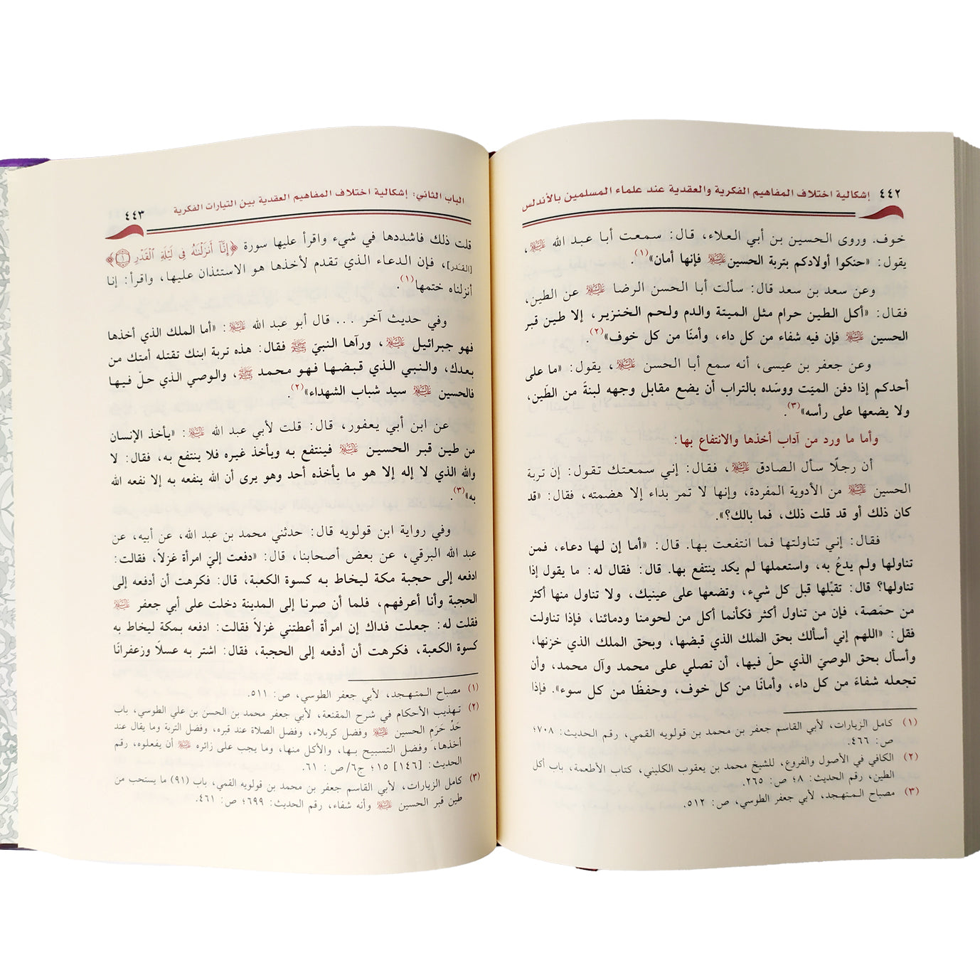 The problem of the difference in intellectual and ideological concepts among Muslim scholars in Andalusia