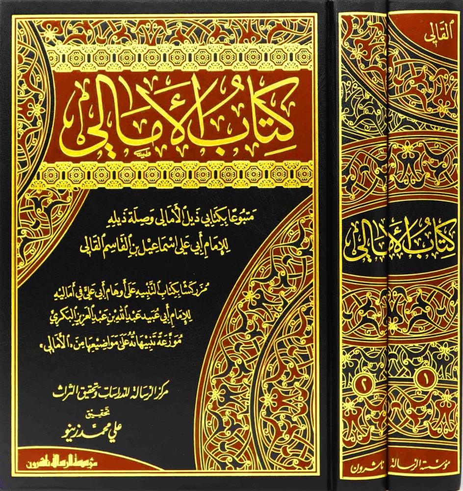 The book of dictations followed by my book, the tail of dictations and a link to its tail, 2 volumes