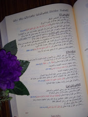 A grammatical story in grammar, morphology and spelling