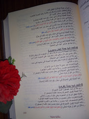A grammatical story in grammar, morphology and spelling