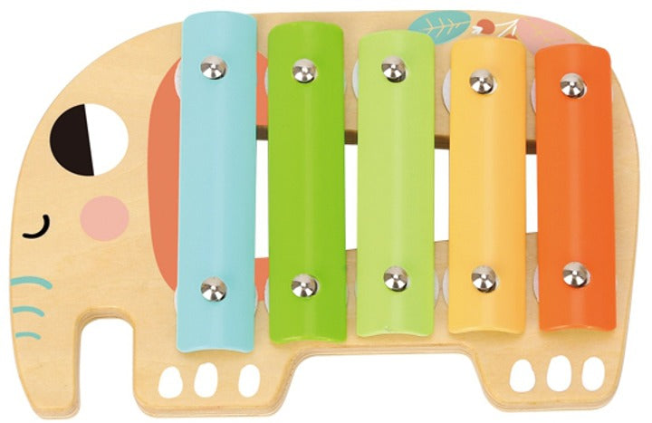 Music Instrument Set