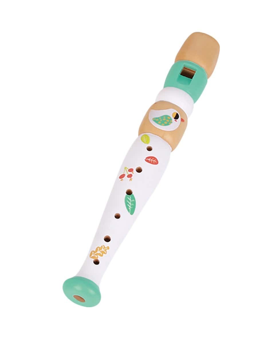 Music Instrument Set