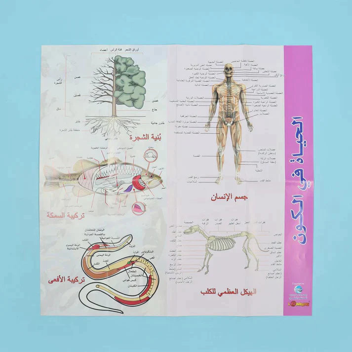موسوعة العلوم التفاعلية 7 مجلدات + 7 سي دي