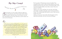 كتاب 101 قصة قرآنية ودعاء – قصص إسلامية مصورة مع أدعية قرآنية للأطفال | انجليزي - Book Fanar