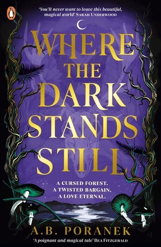Where darkness stands still