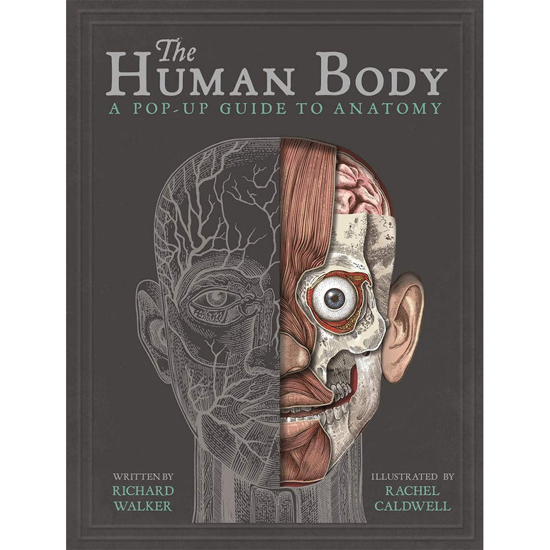 The Human Body