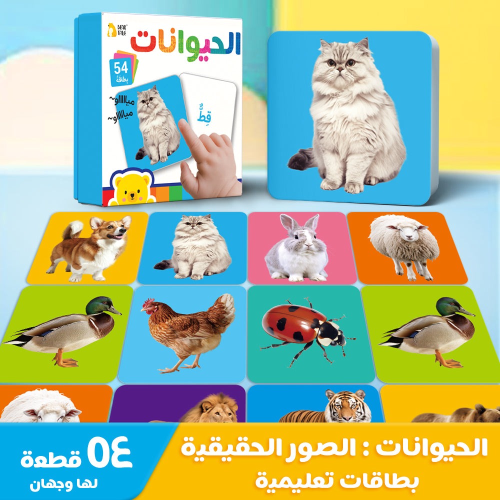 بطاقات تعليمية باللغة العربية - الحيوانات