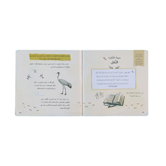 سلسلة كما ذكرت في القرآن 2 كتاب - Book Fanar