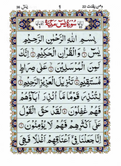 Surah Yaseen – Large Words – Indo-Pak Script – Ref. 77A