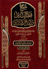شرح قطر الندى وبل الصدى ومعه كتاب سبيل الهدى بتحقيق شرح قطر الندى