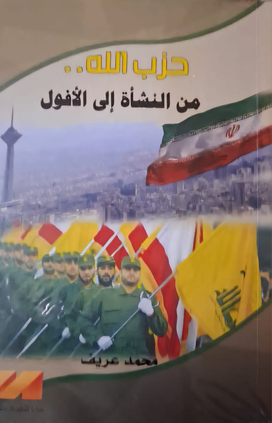 Hezbollah: From Inception to Decline