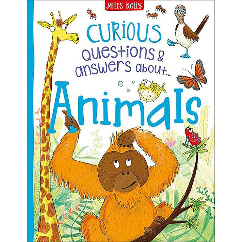 Curious Q&A Animals