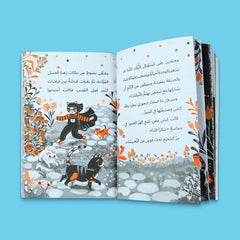 Kitty's Adventures Series 4 Books 