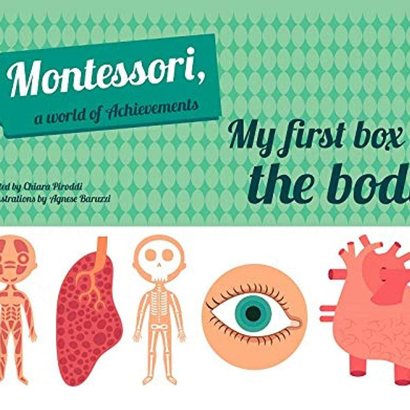 MY FIRST BOX OF THE HUMAN BODY