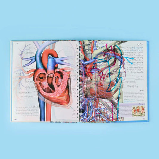 Encyclopedia of the Human Body 