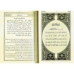 The Noble Quran in Persian (Farsi)