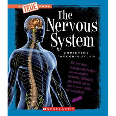 the nervous system