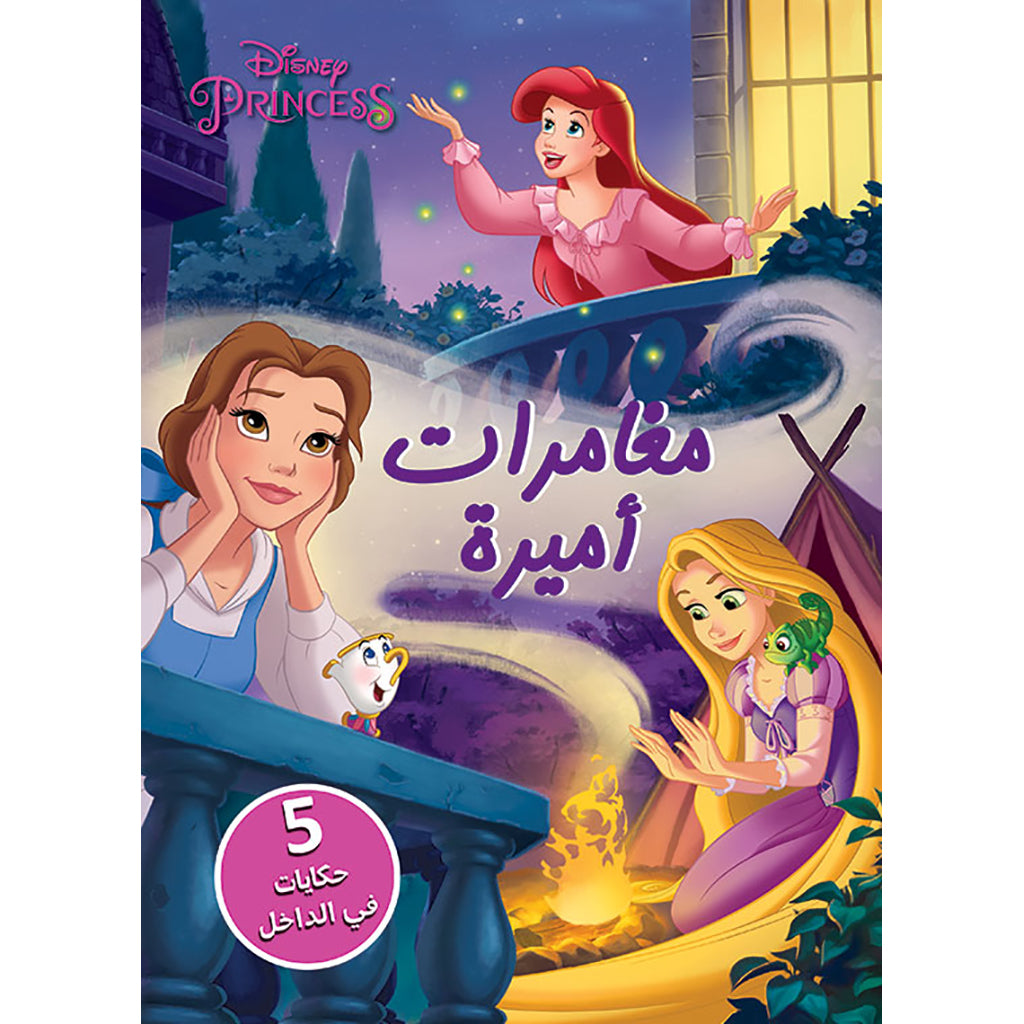 مغامرات أميرة - 5 حكايات في الداخل - Princess Adventures - 5 Stories Inside Hachette Antoine