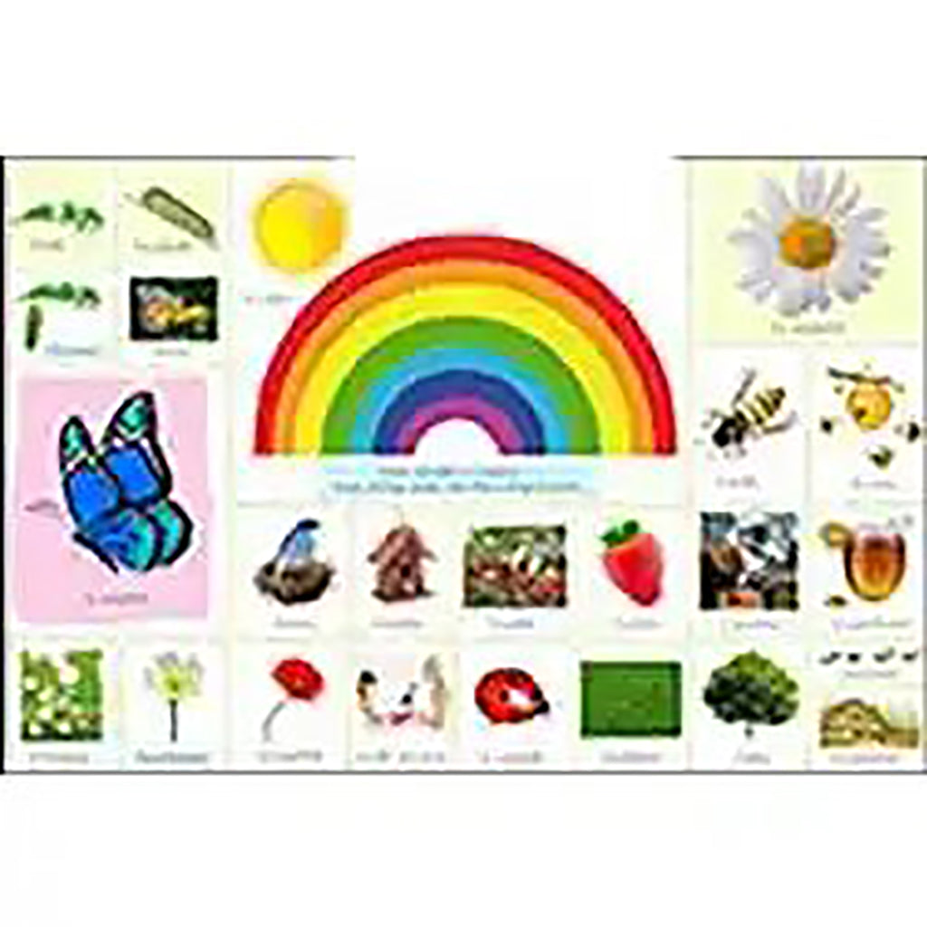 Montessori Petit à Petit 160 cartes lexicales - Montessori Step By Step 160 lexical cards Hachette Antoine